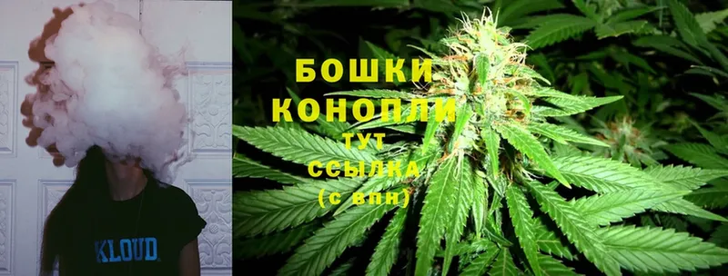 Конопля SATIVA & INDICA  хочу наркоту  Чегем 